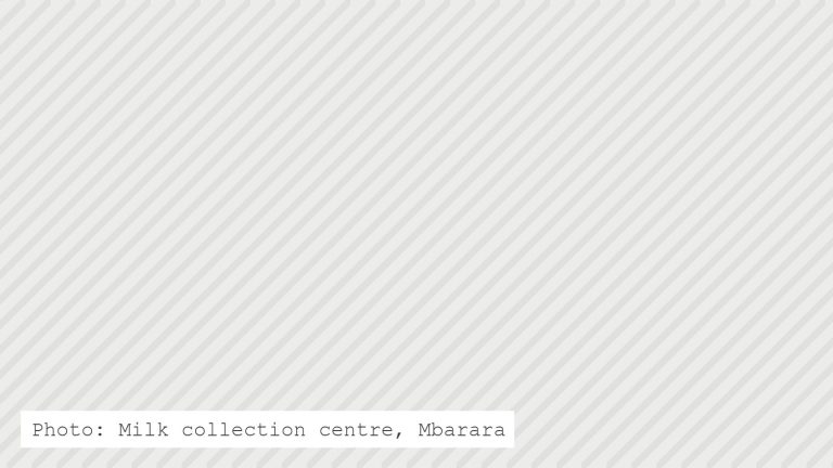 Milk collection centre, Mbarara