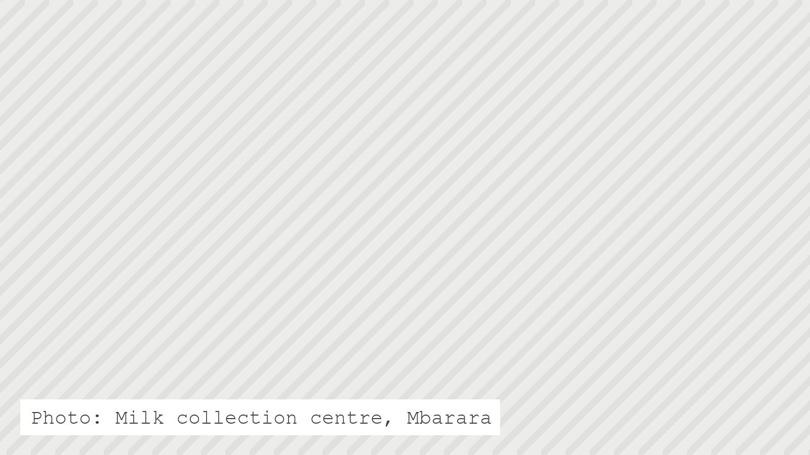 Milk collection centre, Mbarara
