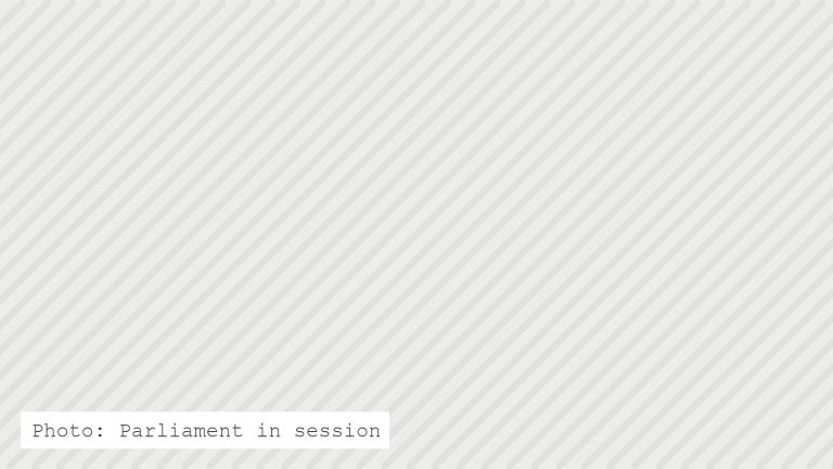 Parliament in session